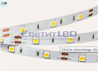 Лента LED, IP33, 12V, SMD5050, 7.2W/м, 30LED/м, белый холодный, эконом